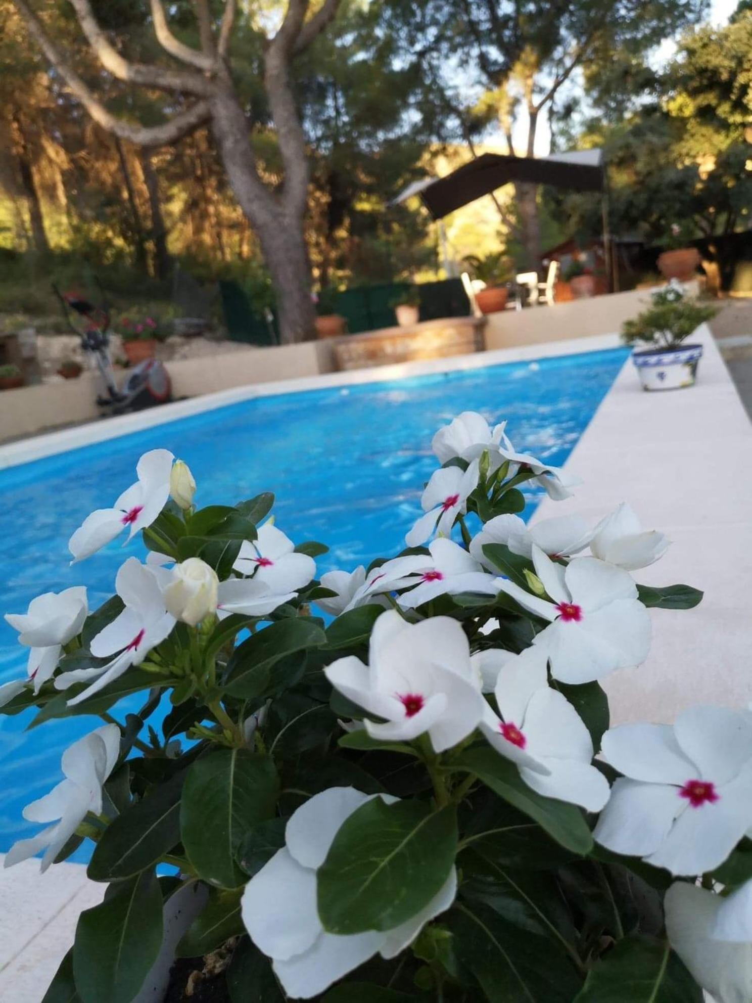 Casa Jetizo Bed & Breakfast Ontinyent Exterior photo