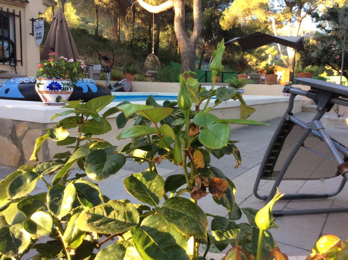 Casa Jetizo Bed & Breakfast Ontinyent Exterior photo