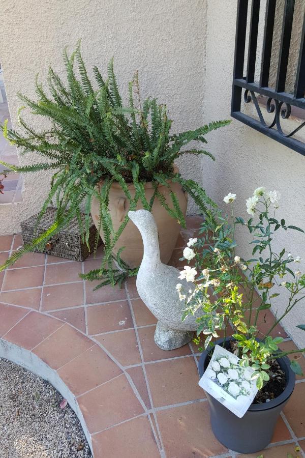 Casa Jetizo Bed & Breakfast Ontinyent Exterior photo